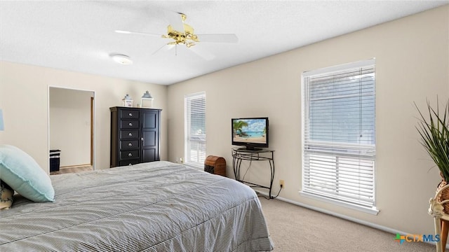 10931 Whisper Valley St, San Antonio, TX 78230 - photo 20