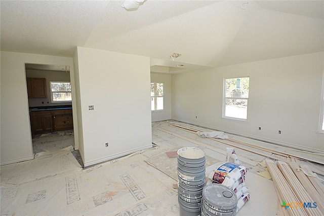 spare room featuring lofted ceiling