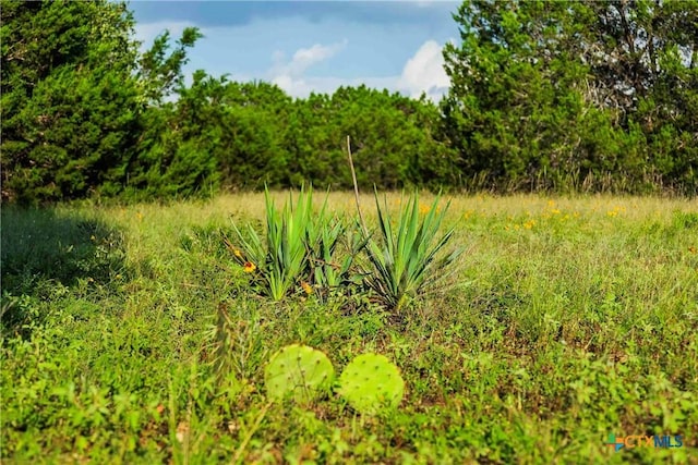 12175 N US Highway 183, Florence, TX 76527 - photo 23