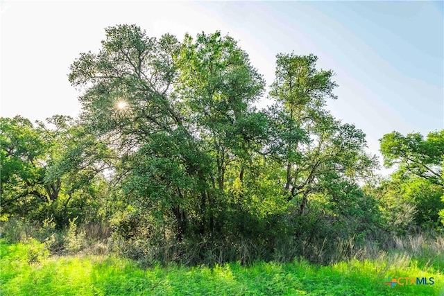 12175 N US Highway 183, Florence, TX 76527 - photo 19
