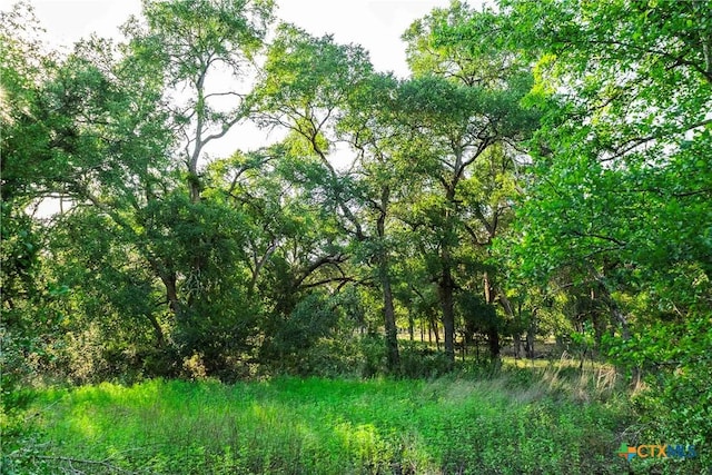 12175 N US Highway 183, Florence, TX 76527 - photo 15