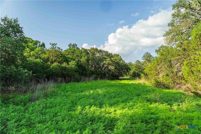 12175 N US Highway 183, Florence, TX 76527 - photo 20