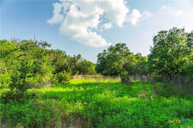12175 N US Highway 183, Florence, TX 76527 - photo 18