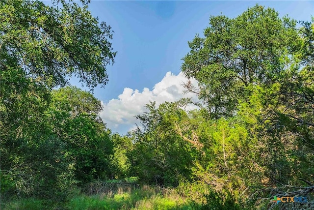 12175 N US Highway 183, Florence, TX 76527 - photo 17