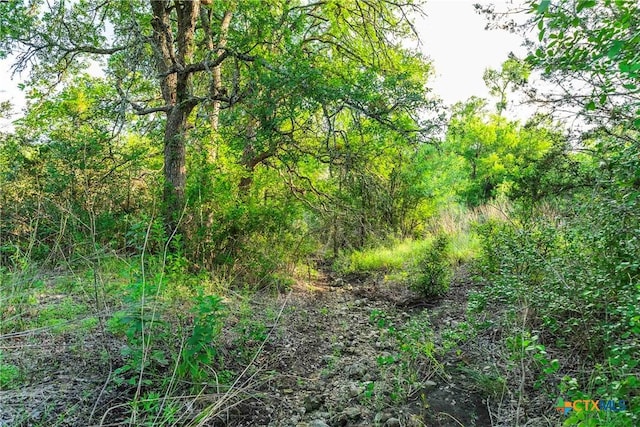 12175 N US Highway 183, Florence, TX 76527 - photo 22