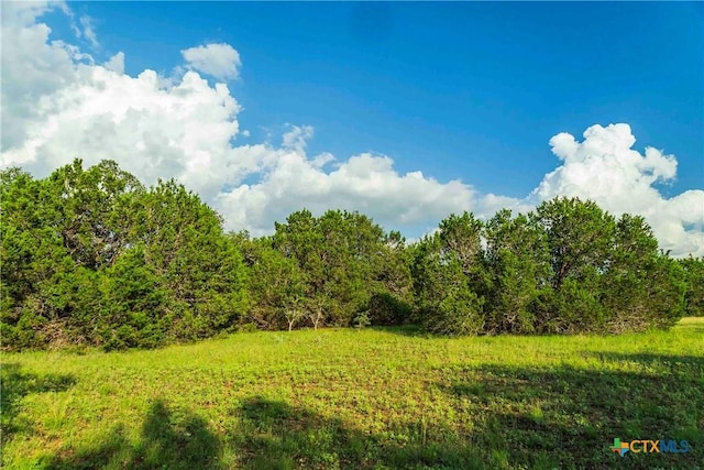 12175 N US Highway 183, Florence, TX 76527 - photo 27