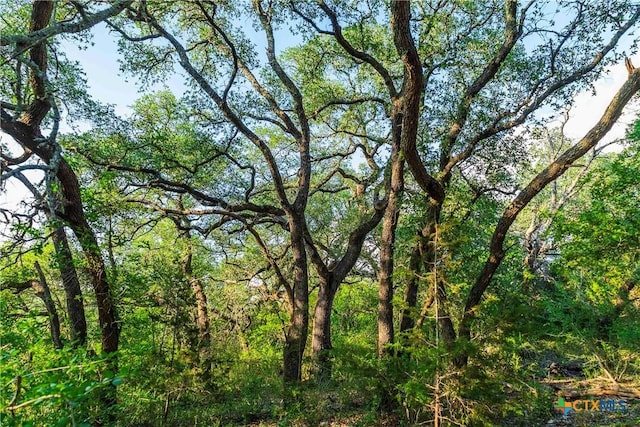 12175 N US Highway 183, Florence, TX 76527 - photo 16