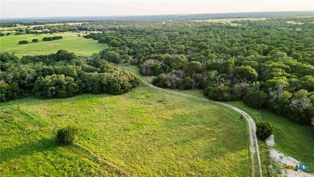 12175 N US Highway 183, Florence, TX 76527 - photo 5