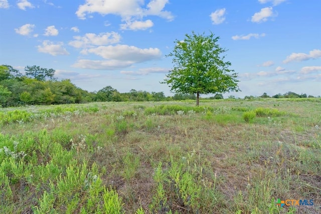 LOT1 Private Road 4511th Rd, Waelder, TX 78959