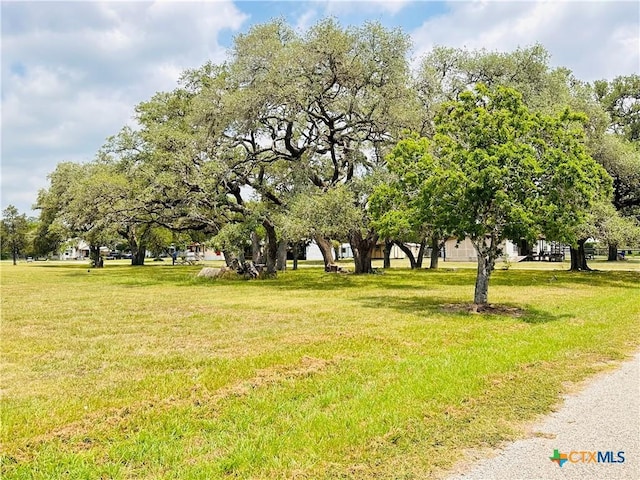 510 Pat Cleburne St, Yoakum, TX 77995