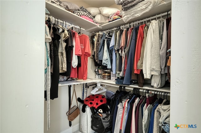 view of spacious closet