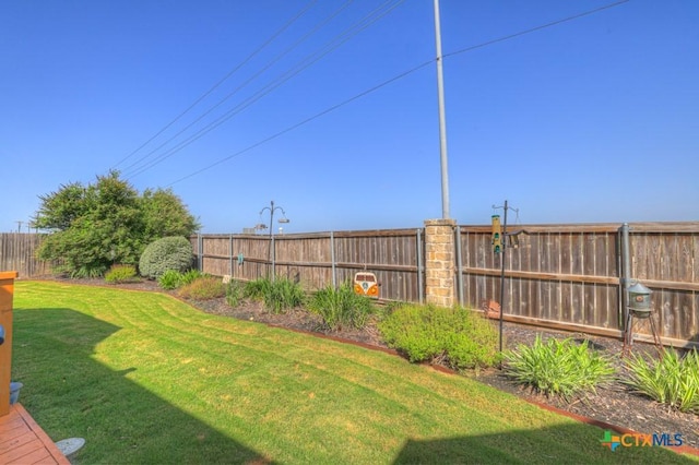 3214 Roan St, New Braunfels, TX 78130 - view of fenced backyard