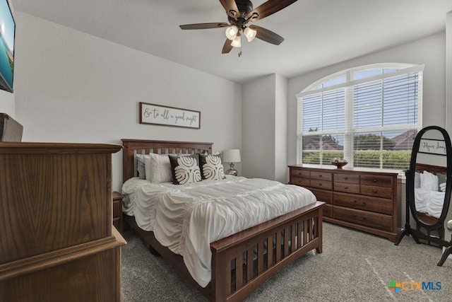 3214 Roan St, New Braunfels, TX 78130 - bedroom with light colored carpet and a ceiling fan
