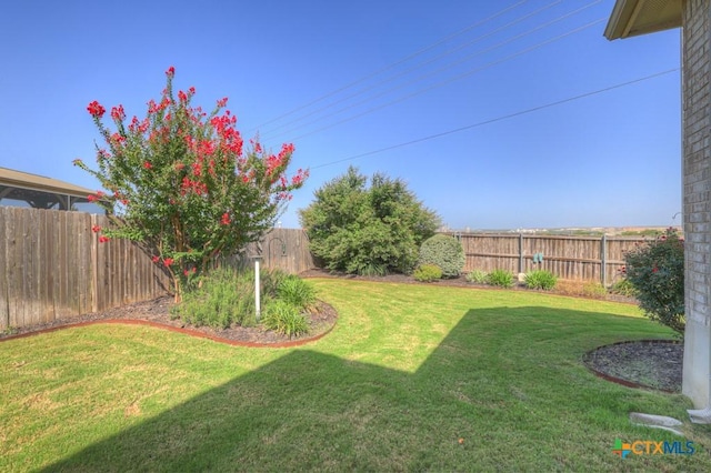 3214 Roan St, New Braunfels, TX 78130 - view of fenced backyard