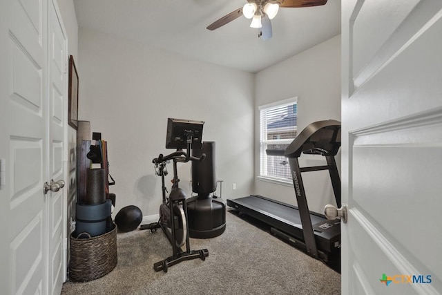 3214 Roan St, New Braunfels, TX 78130 - exercise area featuring a ceiling fan and carpet