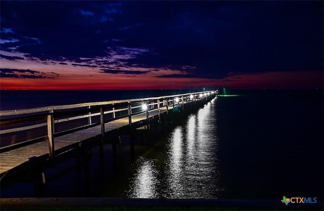 dock area with a water view