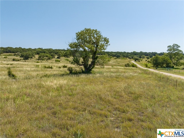 TBD Bear Branch Rd, Purmela TX, 76566 land for sale