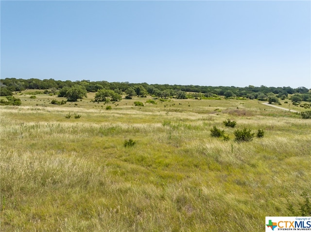 Listing photo 2 for TBD Bear Branch Rd, Purmela TX 76566