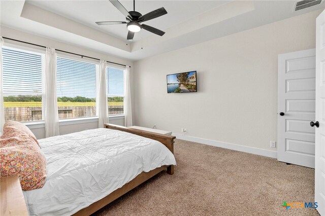 916 Salzach Dr, New Braunfels, TX 78130 - photo 24
