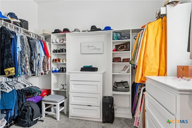 spacious closet with carpet flooring