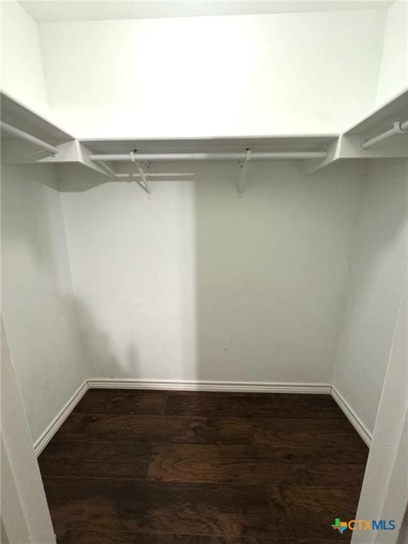 walk in closet with dark hardwood / wood-style flooring