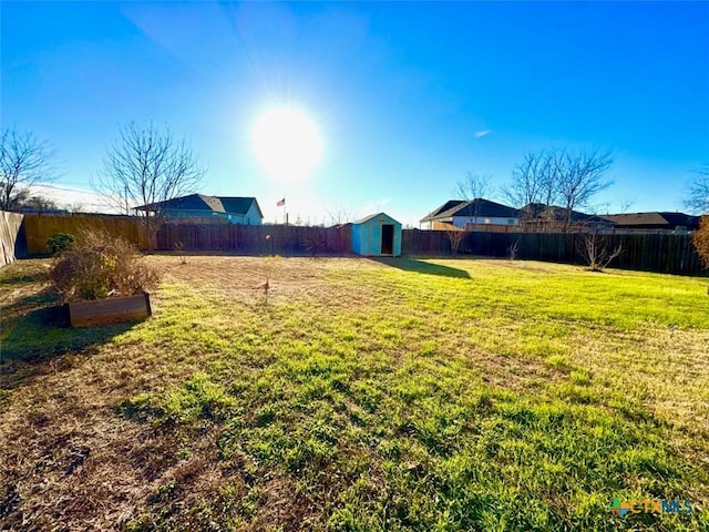 view of yard with a storage shed