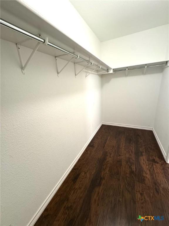 walk in closet featuring dark wood-type flooring