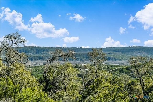 mountain view with a forest view