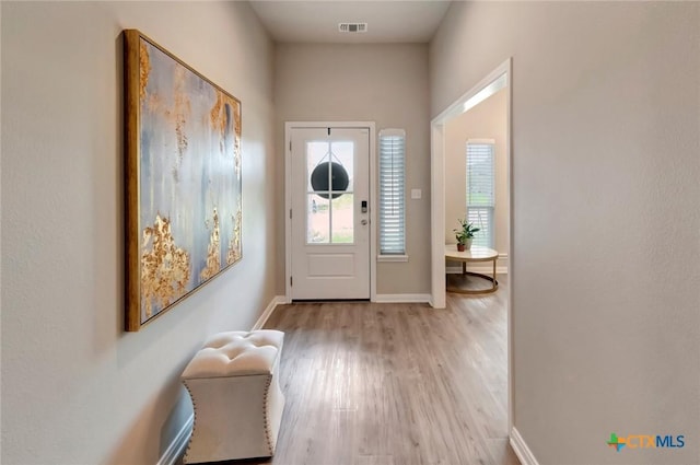 213 Flint Rock Ct, Victoria, TX 77904 - entrance foyer featuring plenty of natural light and light wood-style flooring
