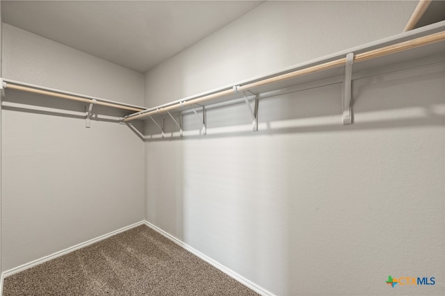 spacious closet with carpet