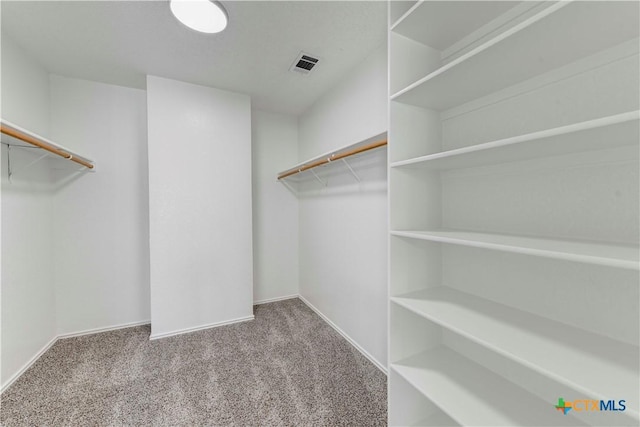 walk in closet featuring visible vents and carpet