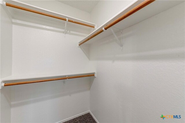 spacious closet featuring carpet