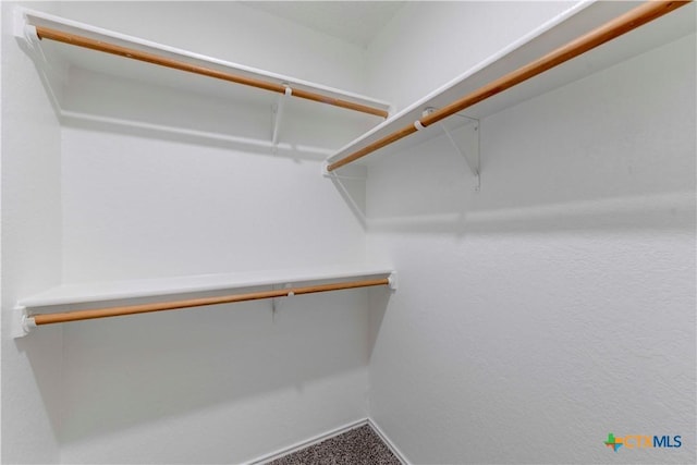 walk in closet featuring carpet