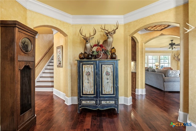 hall with dark hardwood / wood-style floors and ornamental molding