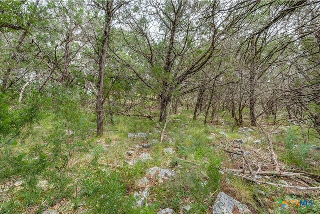 318 Iron Hl, New Braunfels, TX 78132 - photo 10