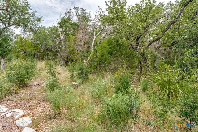 318 Iron Hl, New Braunfels, TX 78132 - photo 8