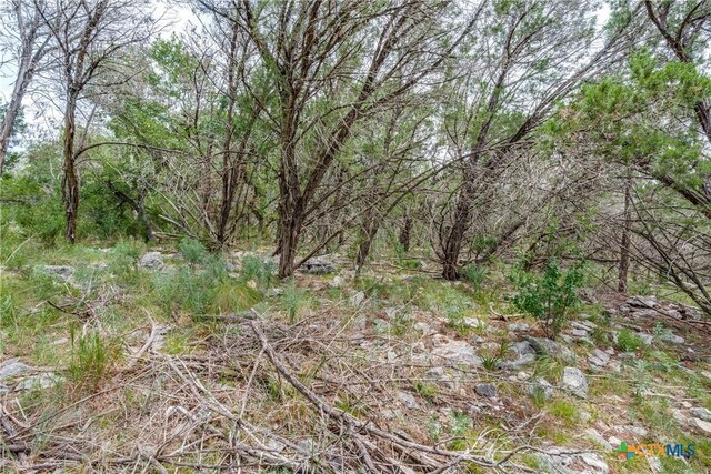 318 Iron Hl, New Braunfels, TX 78132 - photo 11