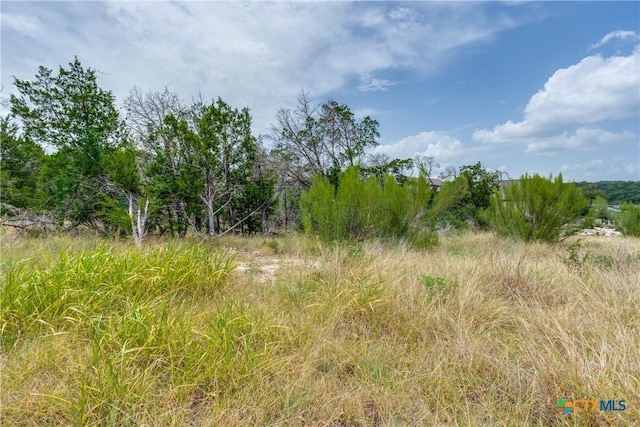 318 Iron Hl, New Braunfels, TX 78132 - photo 7