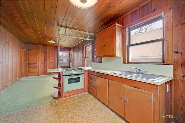 kitchen featuring a wealth of natural light, gas stove, a sink, and wood walls