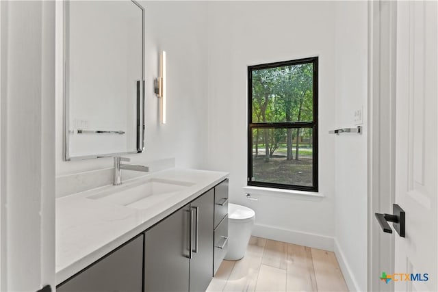 bathroom featuring hardwood / wood-style floors, vanity, and toilet