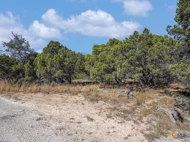 104 River Rapids Loop, Wimberley TX, 78676 land for sale