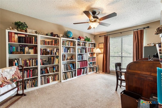 2501 Canyon Cliff Dr, Temple, TX 76502 - photo 35