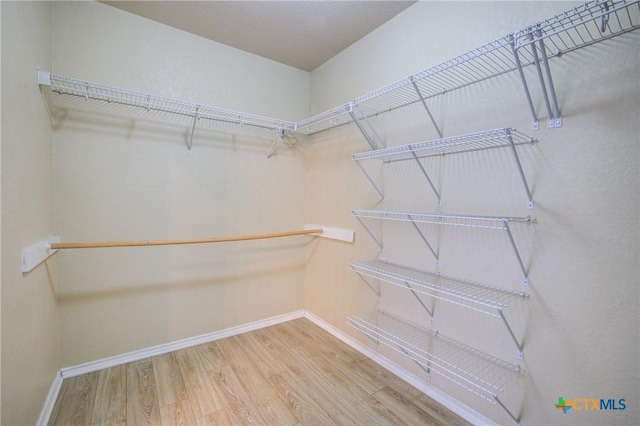 spacious closet with hardwood / wood-style floors