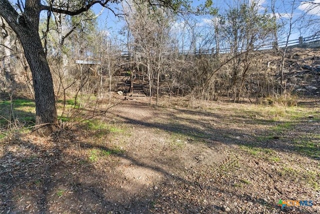 view of local wilderness