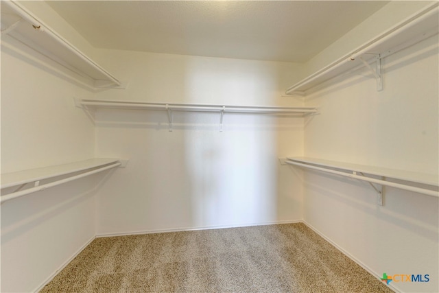 spacious closet with carpet flooring