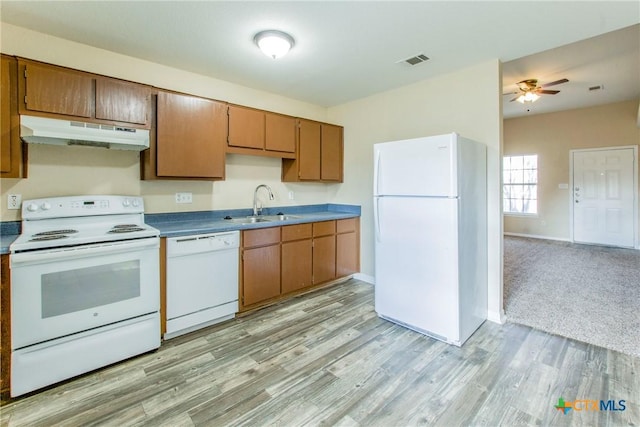 3504 Littleleaf Dr, Killeen, TX 76549 - kitchen featuring white appliances, under cabinet range hood, a sink, a ceiling fan, and light wood-style floors