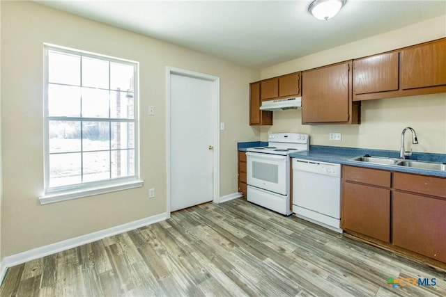 3504 Littleleaf Dr, Killeen, TX 76549 - kitchen featuring white appliances, a sink, under cabinet range hood, light wood finished floors, and baseboards
