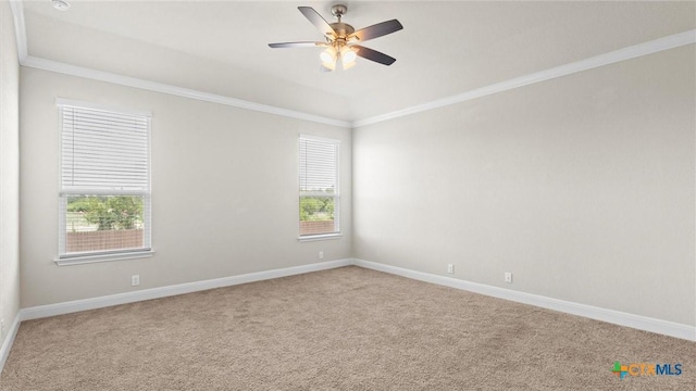 520 Minerals Way, Cibolo, TX 78108 - photo 14