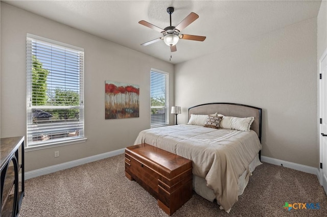 4067 Pecan Mdw, Belton, TX 76513 - photo 28