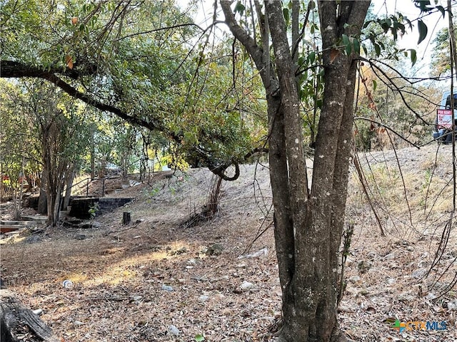 899/901 Hillyer St, San Marcos, TX 78666 - view of nature